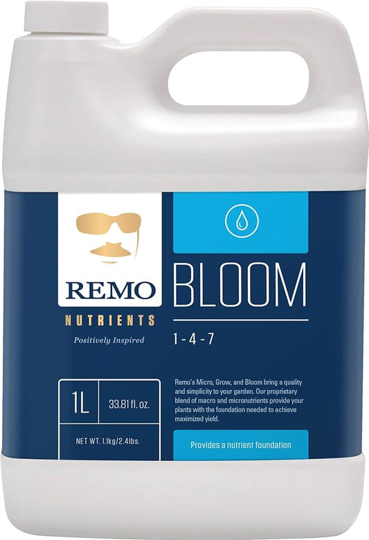 Remo Bloom, 1L