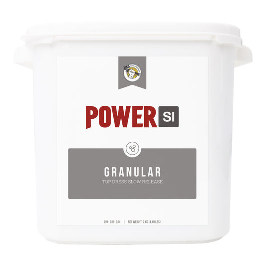 PowerSi Granular 2 kg