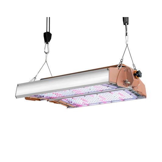 Growers Republic Butterfly Series 4B New Spectrum-320watt