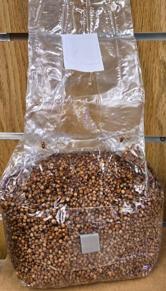 Levelup Mycology Magic Milo 3LBS