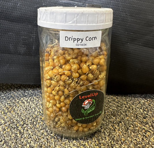 Popcorn Jar